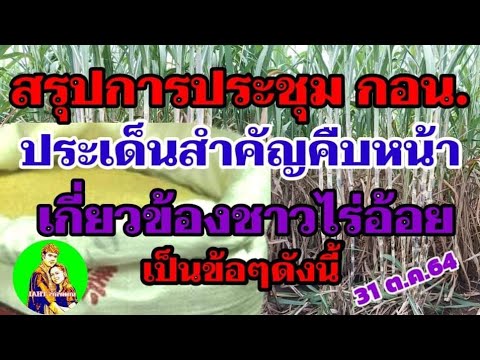 วีดีโอ: อ้อย. กำลังประมวลผล