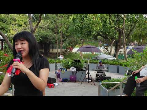 屯門公園 2019年3月22日 喻米英 梅花淚