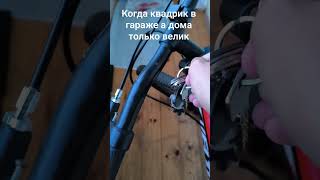Когда квадрик в гараже а дома только велик #мототехника #квадроцикл #мотобратья