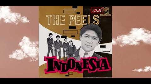THE PEELS - Seruling Di Lembah Sunyi [1967]