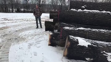 Walnut Timber out of Illinois | Poignant Logging