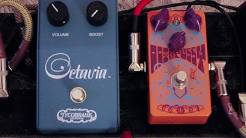 Bedroom Level Crawler Pt 21 - Catalinbread Octapussy vs Tycobrahe Octavia