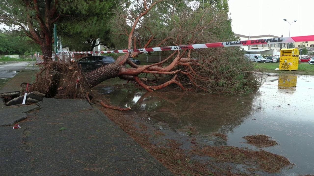 Maltempo a Lissone, morta una donna schiacciata da un albero