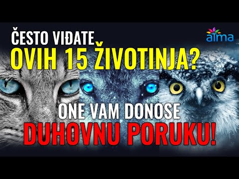 Video: Šta je značenje medvjeđeg ponašanja?