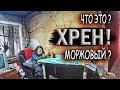 ЧТО С БАБУШКОЙ ИРОЙ? ПРИЕХАЛ СПУСТЯ 7 МЕСЯЦЕВ // СОГЛАСНА НА ПОМОЩЬ ?