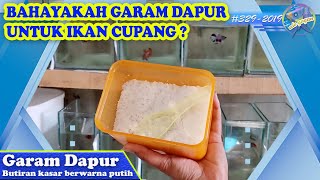 BAHAYAkah GARAM DAPUR untuk kesehatan ikan cupang???