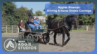 Aggies Attempt: Driving A Horse Drawn Carriage
