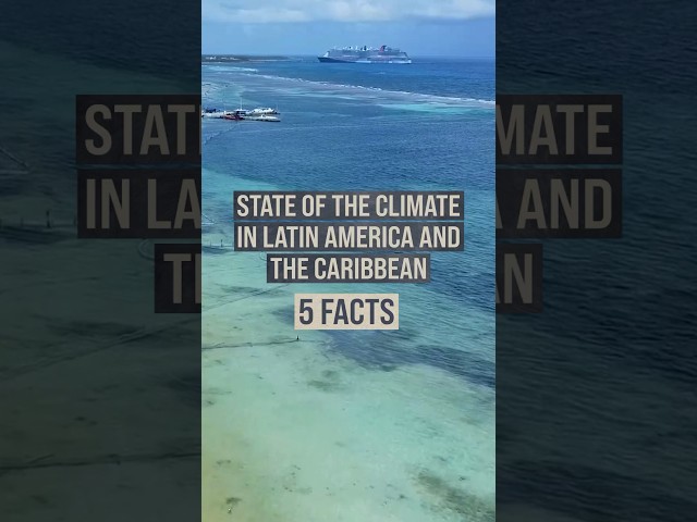 State of the Climate in Latin America and the Caribbean: 5 Facts | United Nations