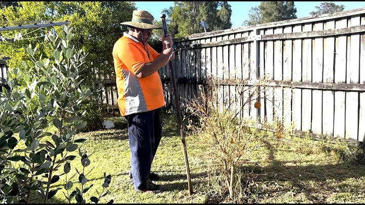 WHEN LIFE THROWS MY HUSBAND LEMONS  |  #polytube  ...