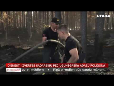 Video: Palīdzība uguns bojātiem kokiem - kā glābt ugunsgrēkā nopostītos kokus