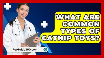 What Are Common Types Of Catnip Toys? - PetGuide360.com