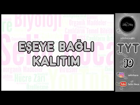 Video: Edinilmiş karakterin kalıtımı ile ne demek istiyorsun?