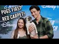 Our Pugs First Time On The Red Carpet!