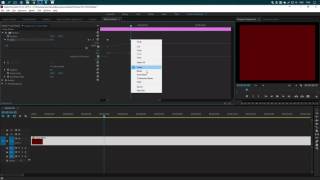 Premiere keyframe interpolation bug