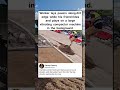Worker lays pavers along dirt edge while his friend rides and plays on a large vibrating #shorts