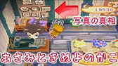 おい森の募金を最後までしたら全員疑問に思う説 どうぶつの森 Youtube おい森の募金を最後までしたら全員疑問に思う説 どうぶつの森 Youtube