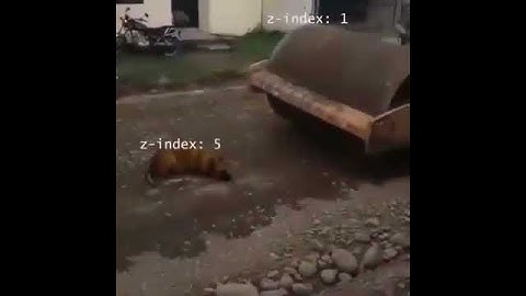 CSS Funny Video | CSS meme