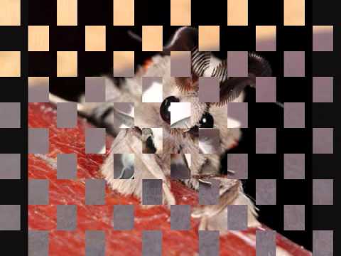 ep00601 79