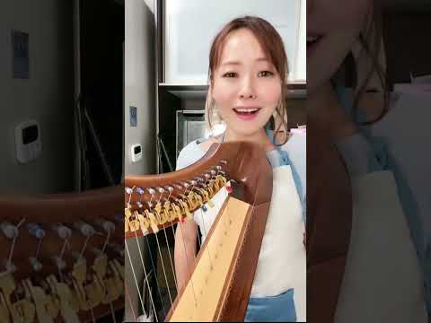 驚愕の結末！！ ハーピストみゆきさん、探しもの2連チャン イチナナ 2023/08/05