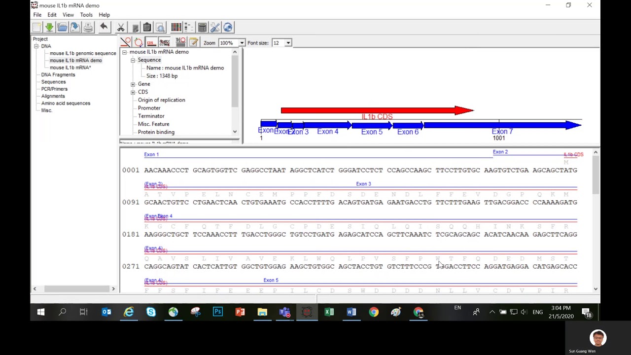 How to label exons and introns in sequences/sequence annotation in ...