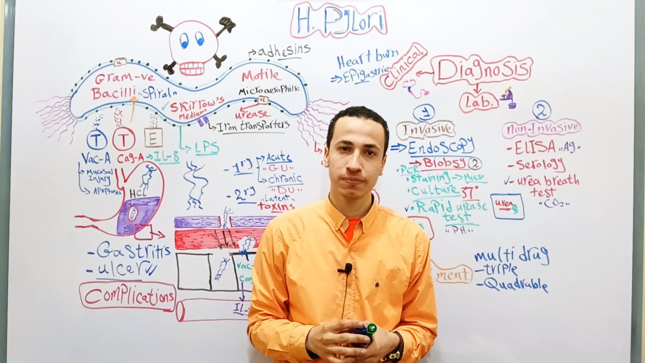 Normal Flora of Gut, H. Pylori & Mumps | GIT Microbiology Lecture 1 | Dr. Mohamed El Kot