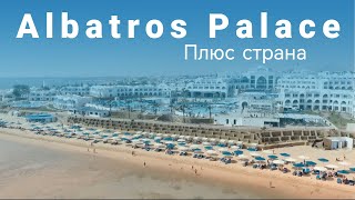 :   Albatros Palace Sharm 2022