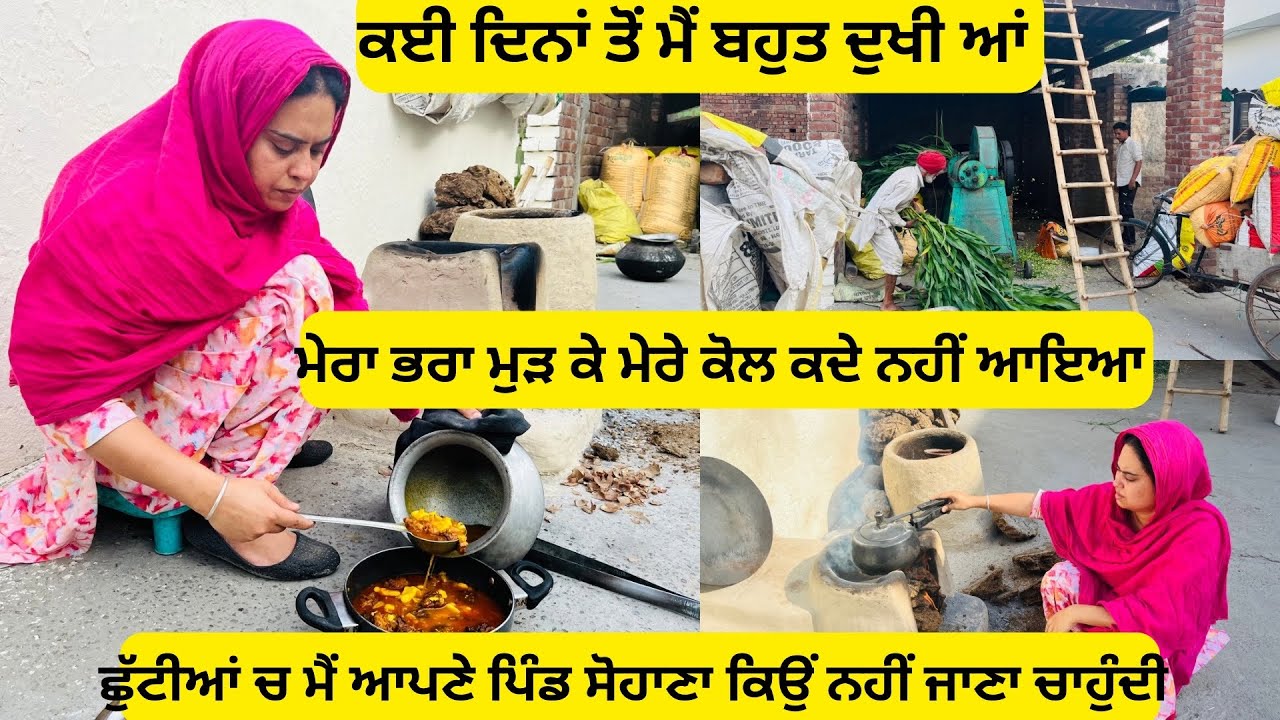 ⁣ਇਸ ਵਾਰ ਆਪਣੇ ਪਿੰਡ ਜਾਣ ਨੂੰ ਬਿਲਕੁਲ ਮਨ ਨਹੀਂ ਕਰਦਾ।ਮੇਰਾ ਮੁੜ ਕੇ ਕਦੇ ਵਾਪਸ ਨਹੀਂ ਆਇਆ 🥺