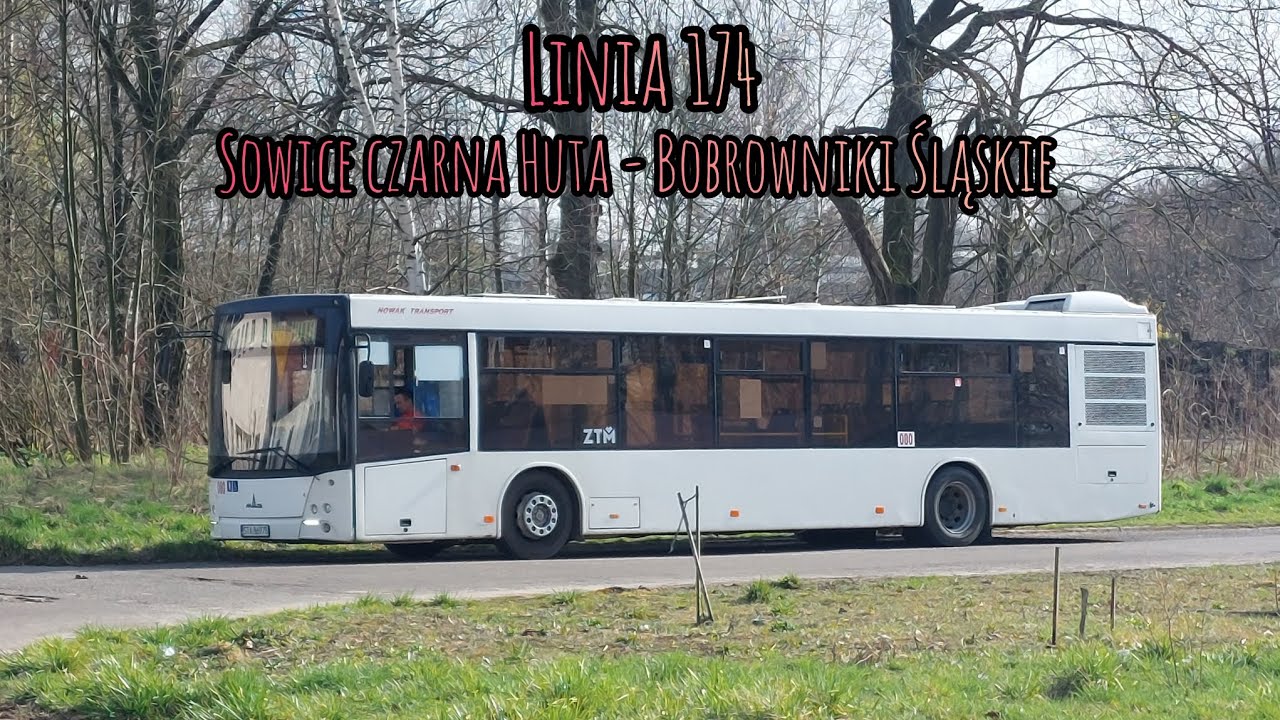 MAZ 203.069 #080 - Nowak Transport Linia 174  🎶 ZF 🎶