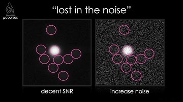 Signal to Noise Ratio