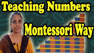 Montessori Way of Teaching Numbers|How To Teach Numbers|Montessori Maths|Katral Elithu