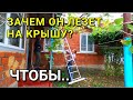 Хотел залезть на крышу, но не тут так было ... В поисках домов для клиентов на Юге