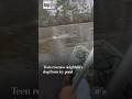 Teen rescues neighbor's dog from icy pond