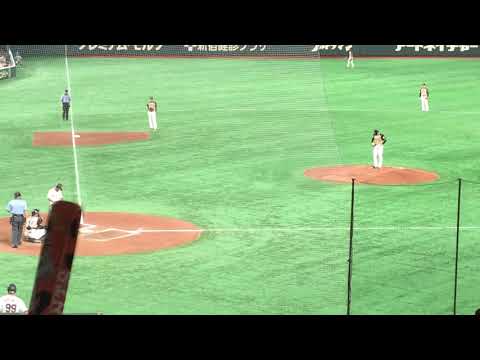 湯浅大 四球を選ぶ【東京ドームでイースタン 読売ジャイアンツ対 日本ハムファイターズ2019.8.20】