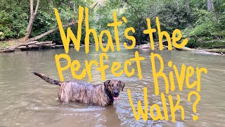 A River Walk with My Dog Ollie (in 4k) by Mountains River Sea 104 views 8 months ago 15 minutes