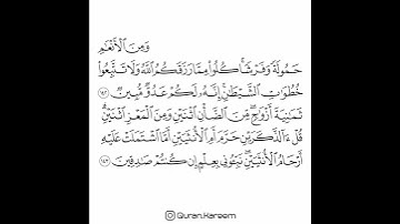 القارئ سعد الغامدي - سورة الأنعام - من الآية 142 إلى الآية 143