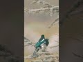 مقطع بصوت حاد جميل جدا عنتر مسلم من سورة المائدةواذا قيل لهم تلاوات نادرة خارجية mp3