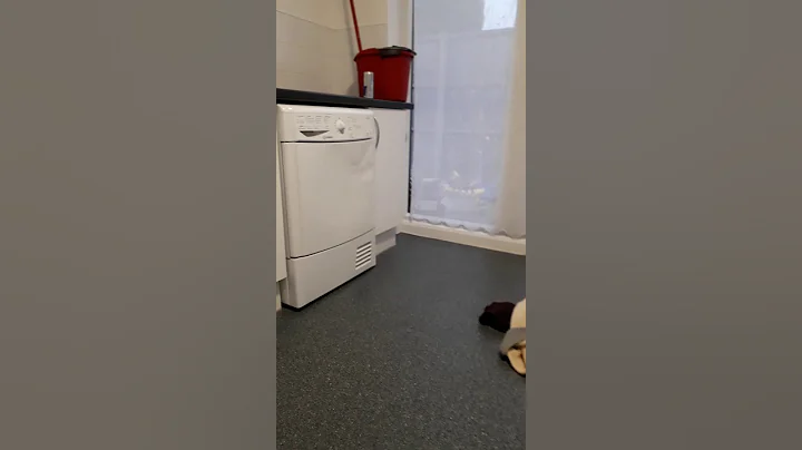 27 January 2019