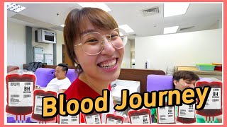 Blood Journey, Donating to the The Red Cross and Where Will It Go.