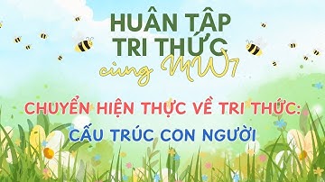 29/8/2025 - CHUYỂN HIỆN THỰC VỀ TRI THỨC CẤU TRÚC CON NGƯỜI - CBNHPC