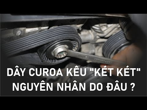 Video: Hyundai Sonata 2008 có dây curoa hay dây xích không?