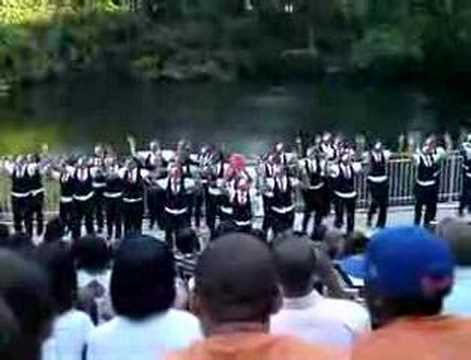 Delta Sigma Theta Probate Clip 2008