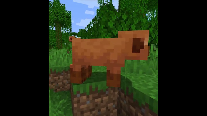 NEW PIG VARIANTS, LEAF LITTERS, AND WILDFLOWERS #minecraft #snapshot25w02a
