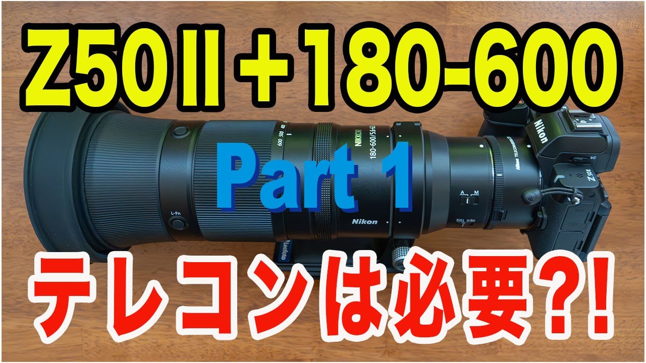 Z50Ⅱ＋180-600mmに2倍テレコンを付けて屋内で被写体検出と連写と連写