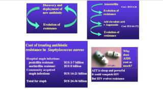 5.3 Pathogen Evolution: Antibiotic Resistance