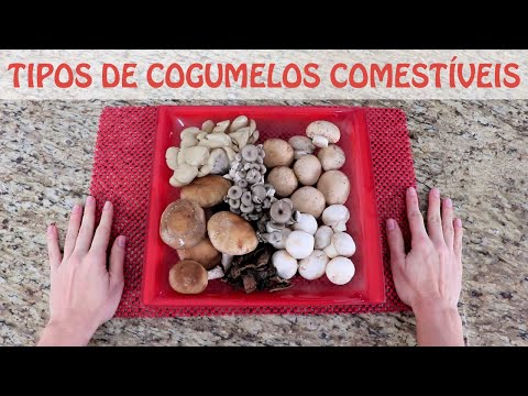 Vídeo: Os tipos mais comuns de cogumelos de leite