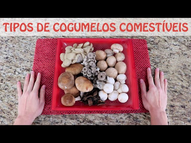 Cogumelos Comestíveis Nambei Shokai