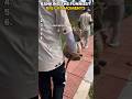RANKING the FUNNIEST Big Cat Moments 🐅😂#trending #funny #catmemes #viral #youtubeshorts