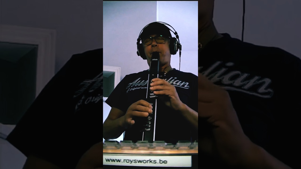 Electronic Wind Controlling Station 