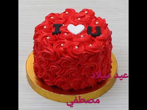 عيد ميلاد مصطفي