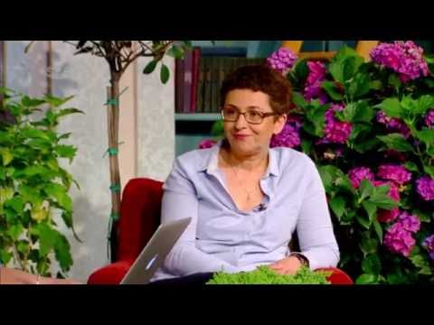 როგორ გამოვიყენოთ ლანდშაფტური არქიტექტურის პრინციპები ჩვენს აივნებზე?